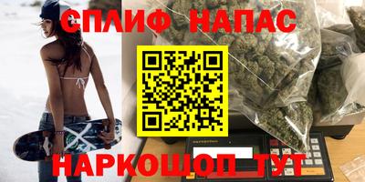 прущие грибы Бийск