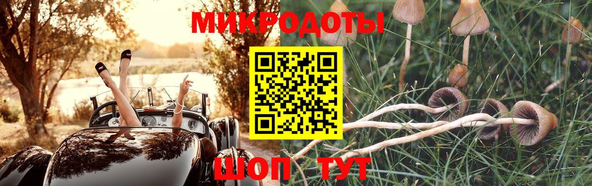 Псилоцибиновые грибы MAGIC MUSHROOMS  Псилоцибиновые грибы прущие грибы  Вход с VPN  Звенигород 